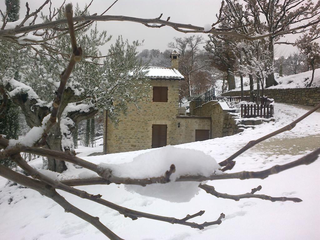 Agriturismo Paradiso 44 Асизи Екстериор снимка