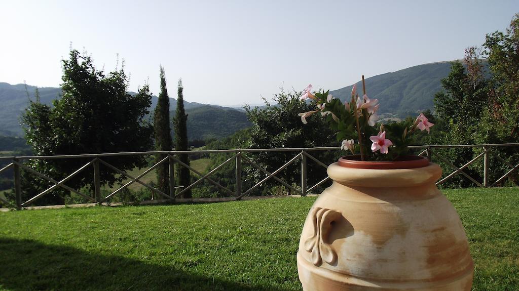 Agriturismo Paradiso 44 Асизи Екстериор снимка