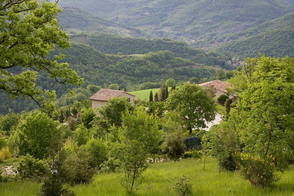 Agriturismo Paradiso 44 Асизи Екстериор снимка